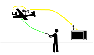 fpv1